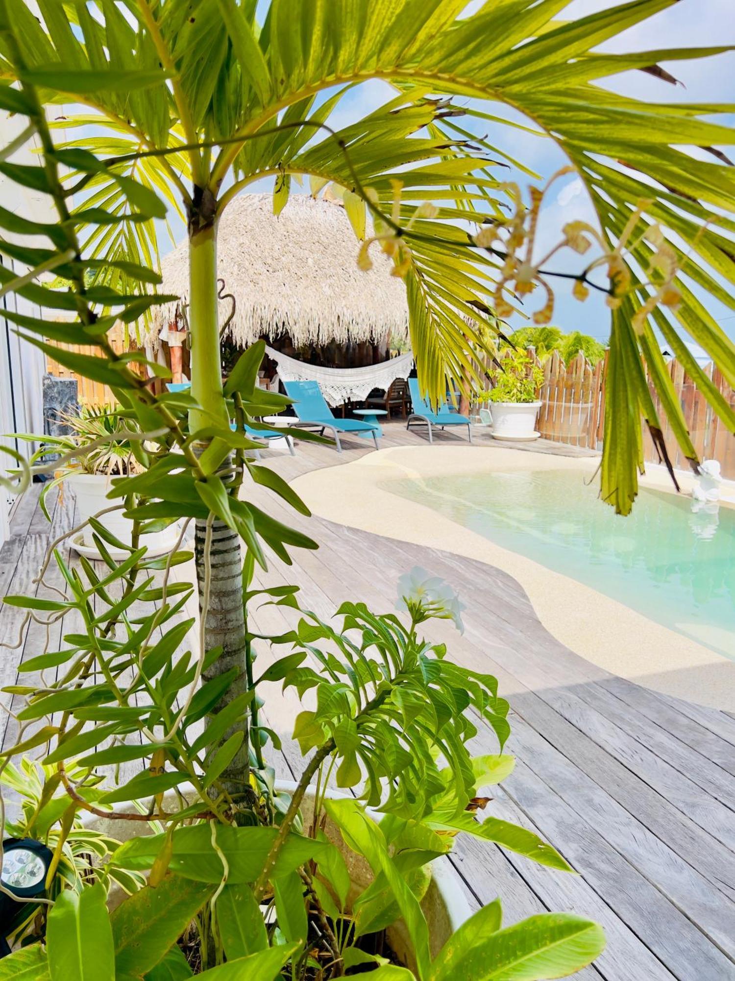Villa Amaryllis Luxueuse,Piscine,Vue Mer,Plage Sainte-Luce Exteriör bild